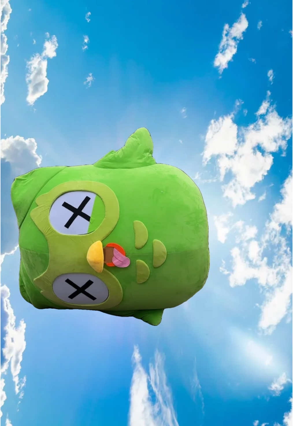 @duolingo 的TikTok视频封面